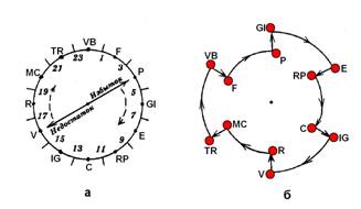 Рисунок 24. Суточный цикл движения энергии по 12 стандартным меридианам. 