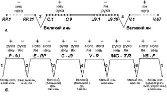 Рисунок 25. Последовательность соединения меридианов в суточном цикле. 