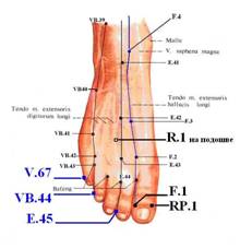 Расположение точек на ноге, которые используюдся для термической (тепловой) диагностики 12 стандартных меридианов по К. Акабане