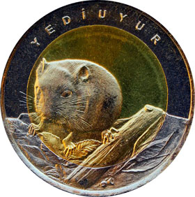 Турецкая биметаллическая монета 2016 г достоинством 1 лира с изображением анаталийской лесной сони Центр из латуни кольцо из медно-никелевого сплава